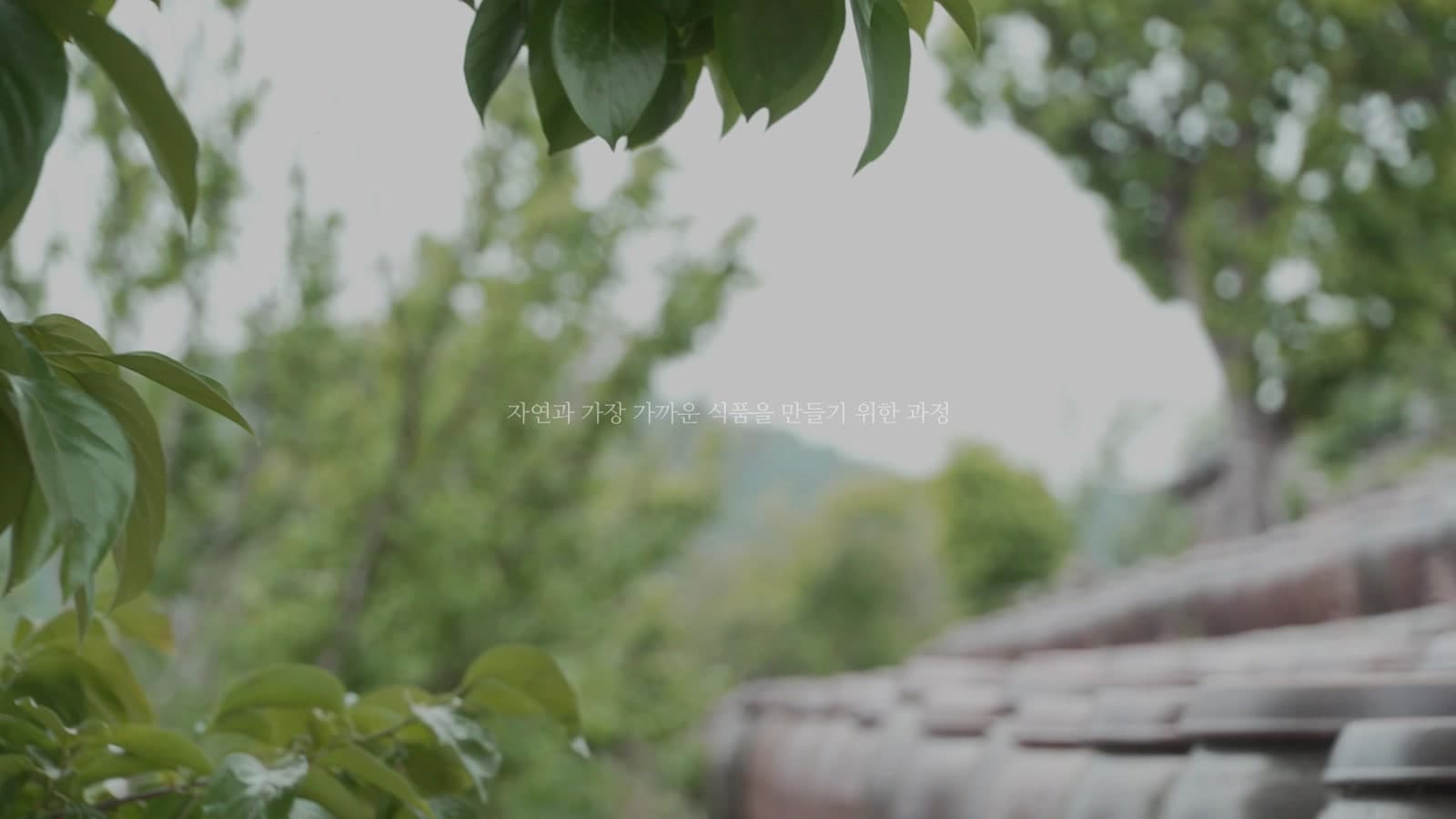 Korean herbal materia medica